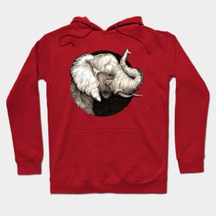 Elephant - Trunk Up, Good Luck! Hoodie